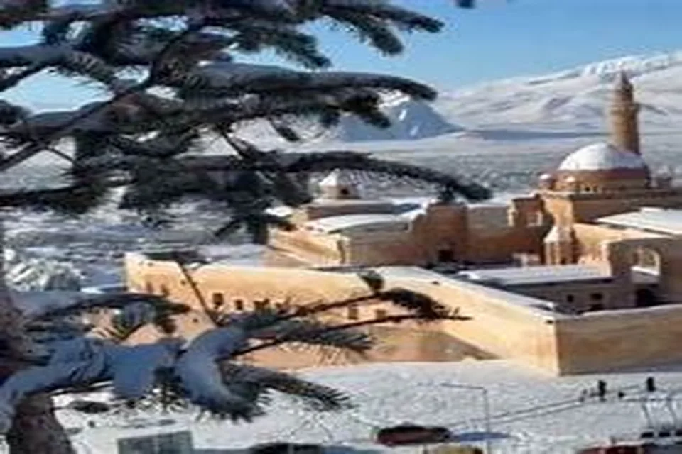 Ağrı Villalar