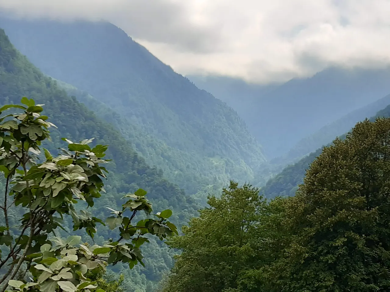 Arhavi Gezi Rehberi