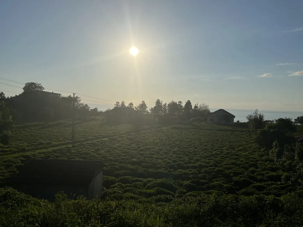 Kemalpaşa Artvin Gezi Rehberi