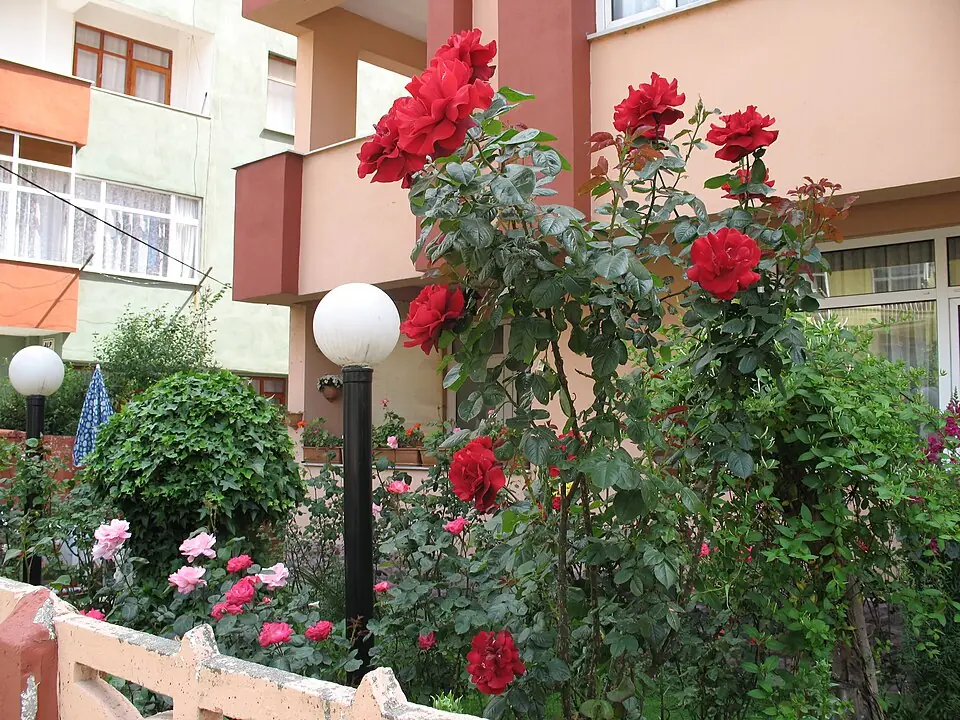 Gönen Gezi Rehberi