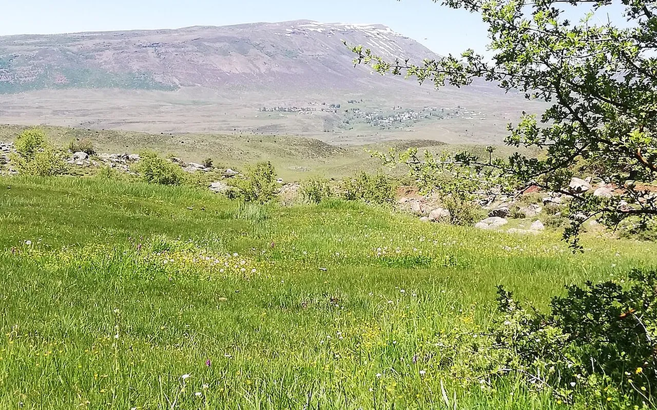 Adaklı Gezi Rehberi