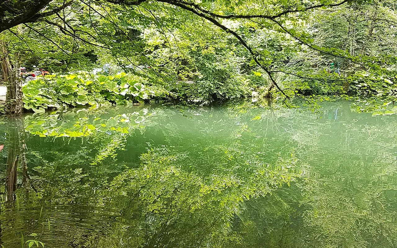 Seben Gezi Rehberi