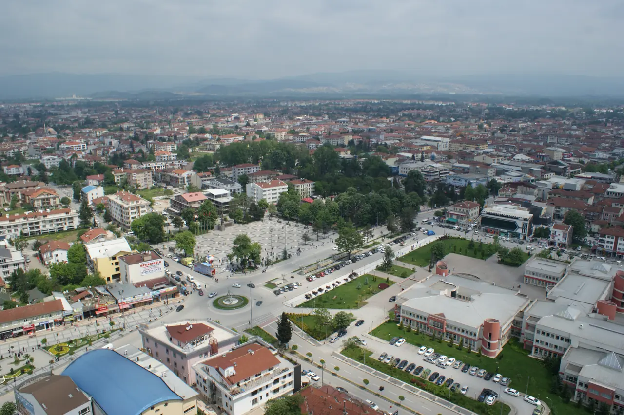 Düzce Villalar