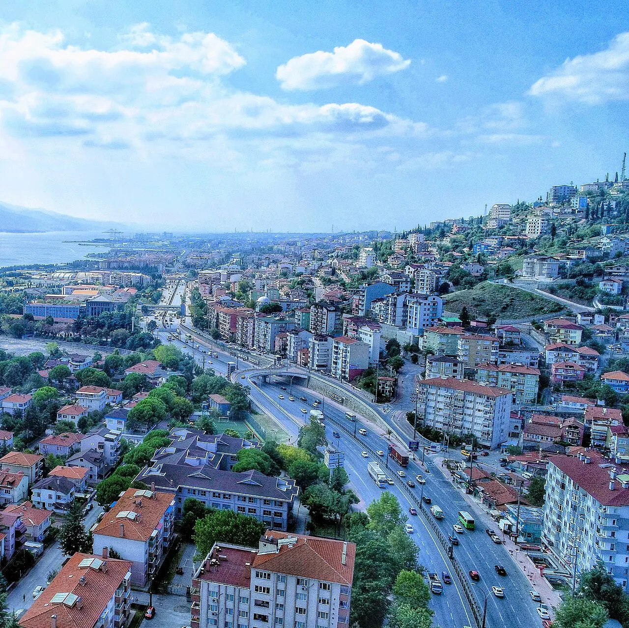 Kocaeli Villalar