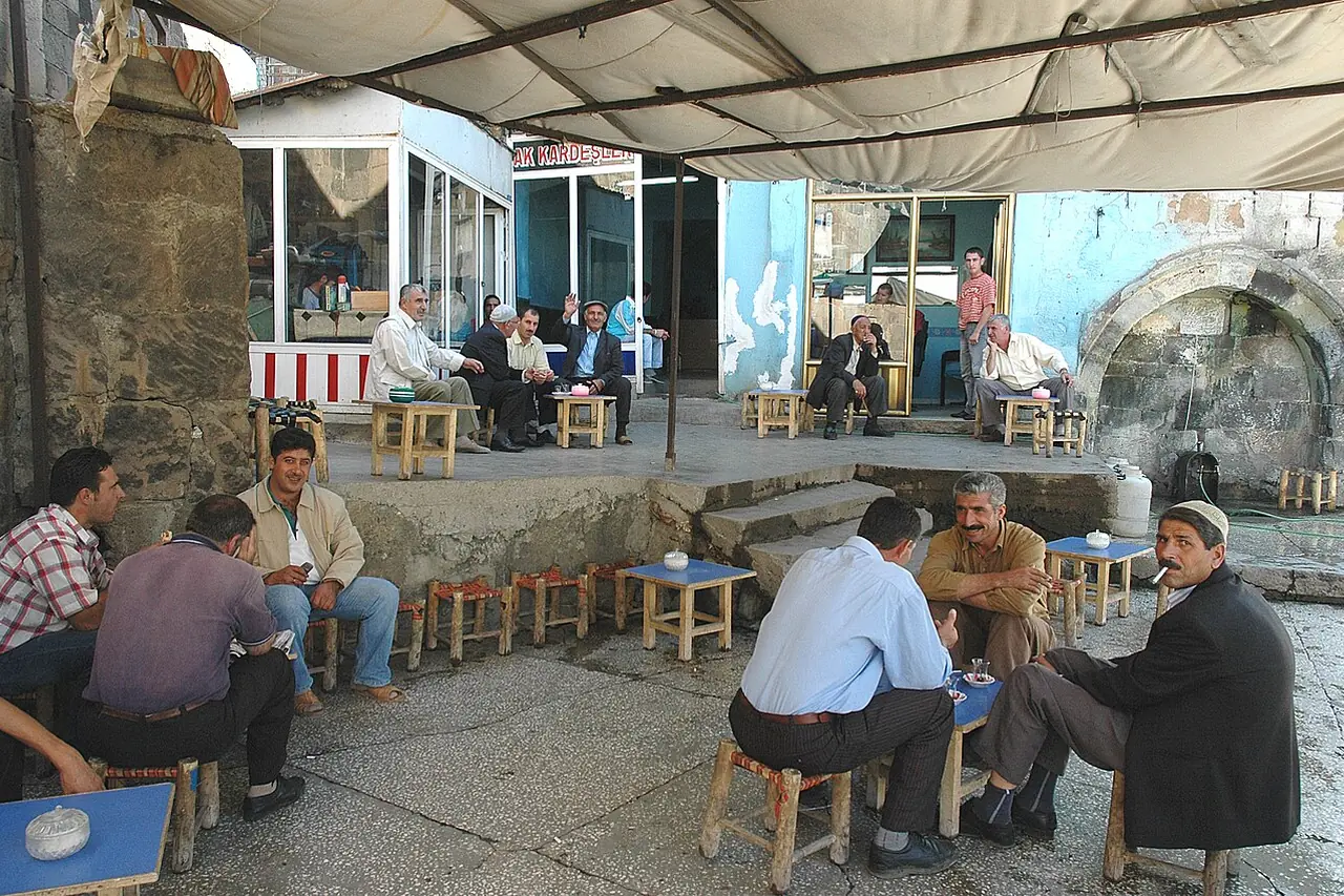 Muş Villalar
