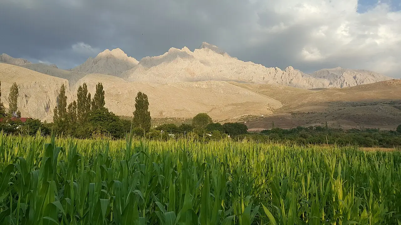 Çamardı Gezi Rehberi